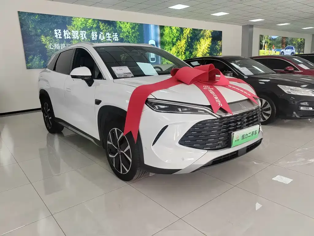 BYD L DM-i — фото 7