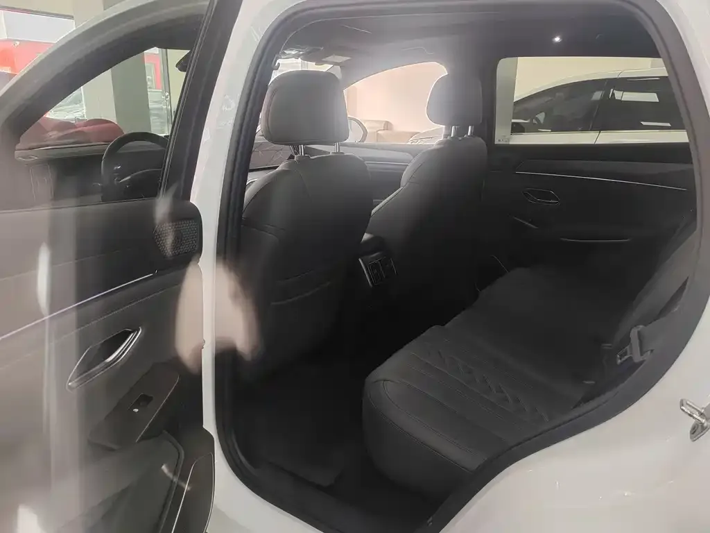 BYD L DM-i — фото 8