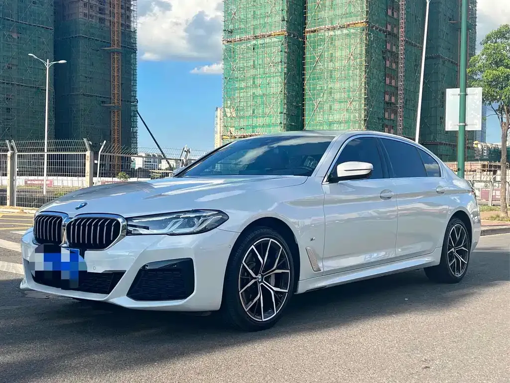 BMW 5 Series 2022 из CN, фото 1