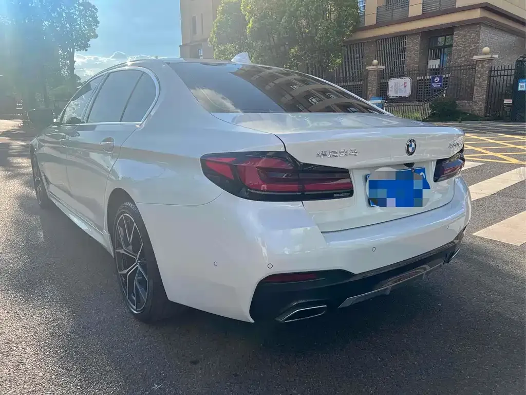 BMW 5 Series 2022 из CN, фото 5