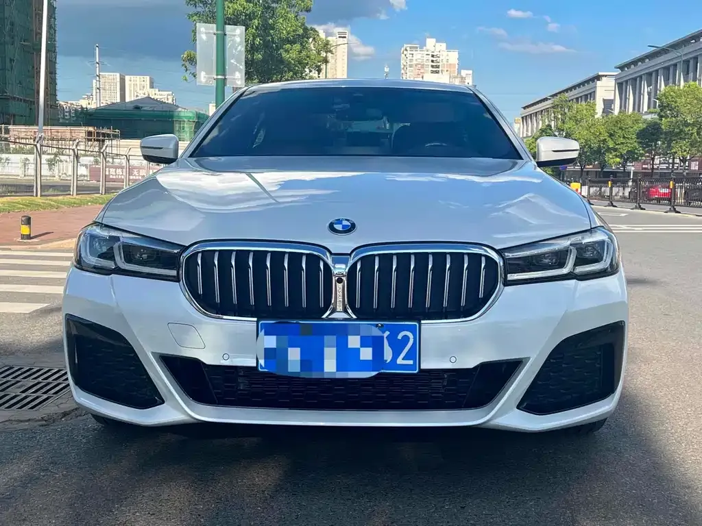 BMW 5 Series 2022 из CN, фото 10