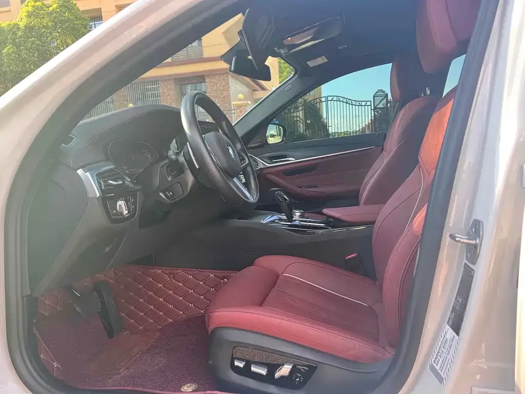 BMW 5 Series 2022 из CN, фото 6