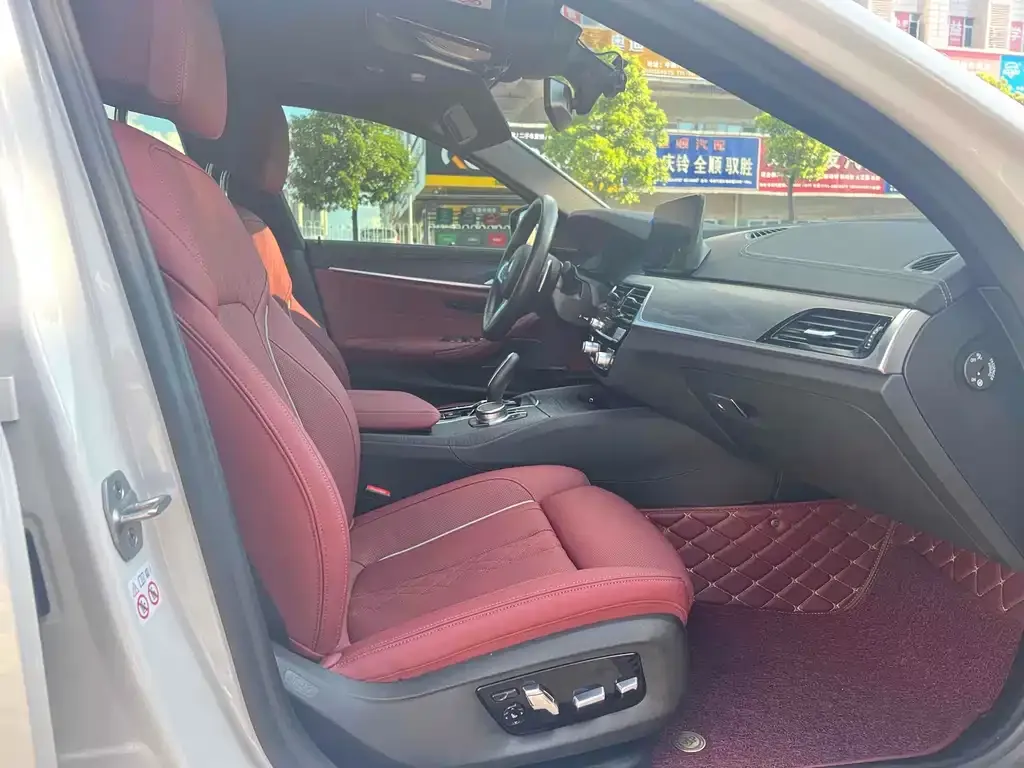 BMW 5 Series 2022 из CN, фото 9