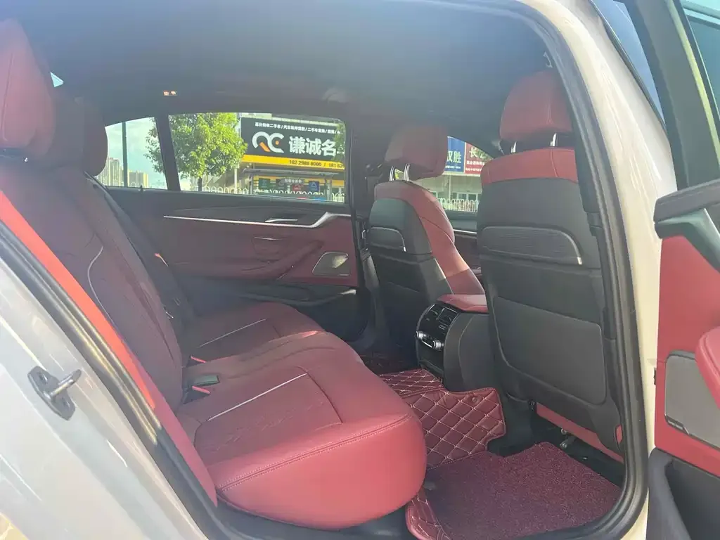 BMW 5 Series 2022 из CN, фото 7