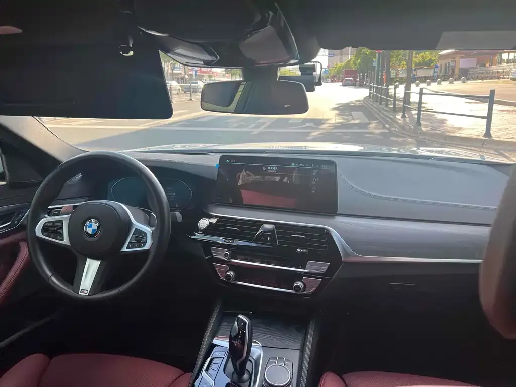BMW 5 Series 2022 из CN, фото 8