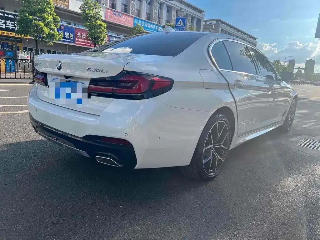 BMW 5 Series 2022 из CN, фото 4