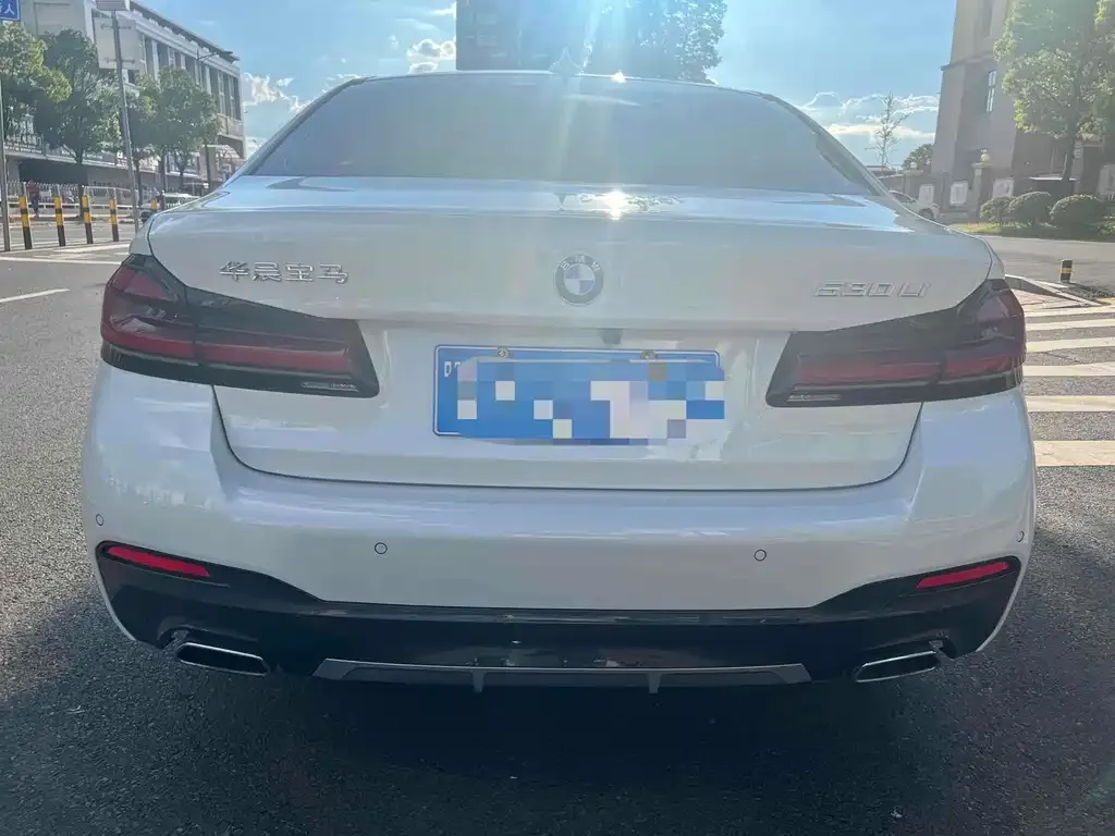 BMW 5 Series 2022 из CN, фото 3