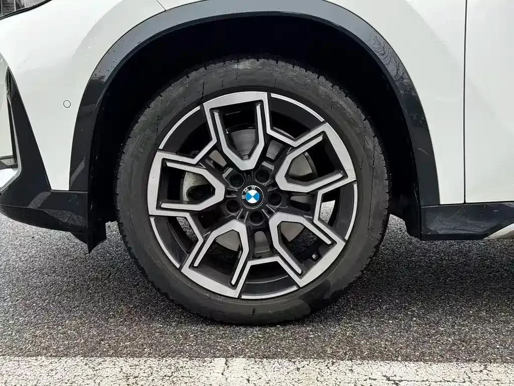BMW X1 2024 из CN, фото 6