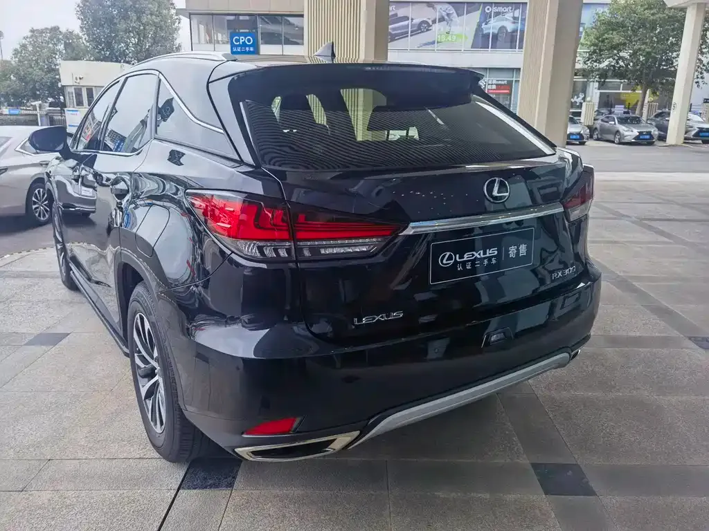 Lexus RX — фото 10