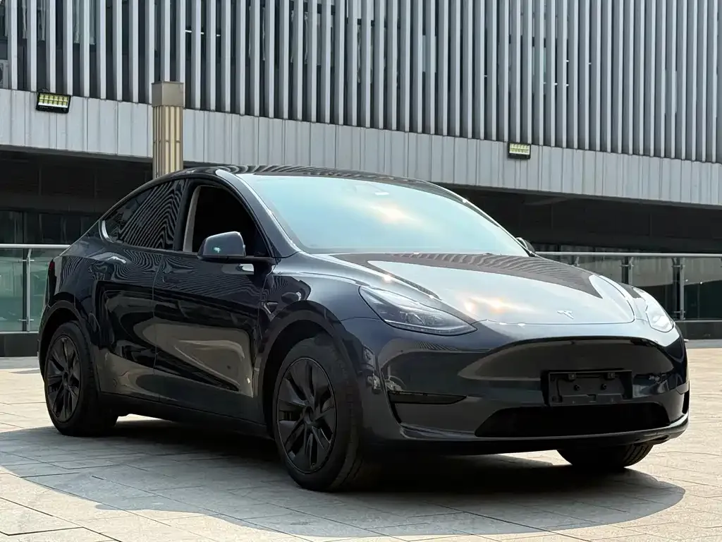 Tesla Model Y — фото 9