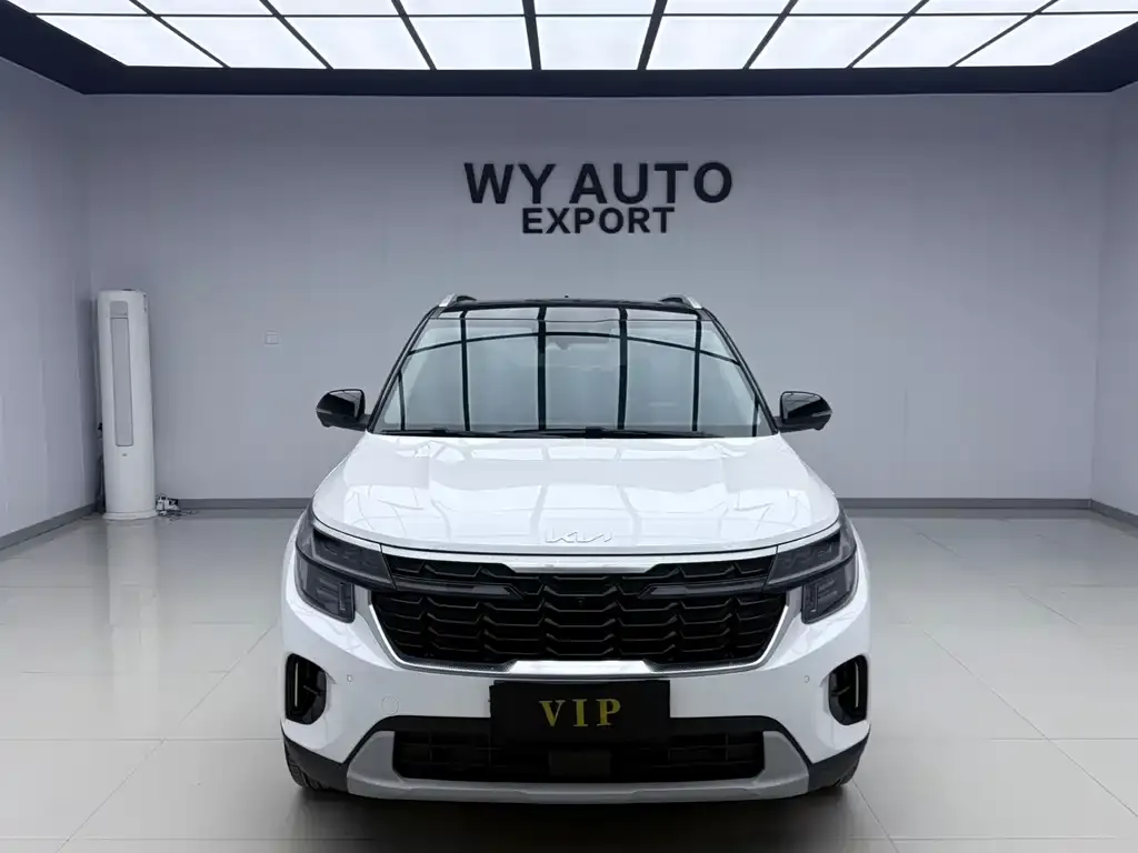 Kia Seltos 2023 из CN, фото 6
