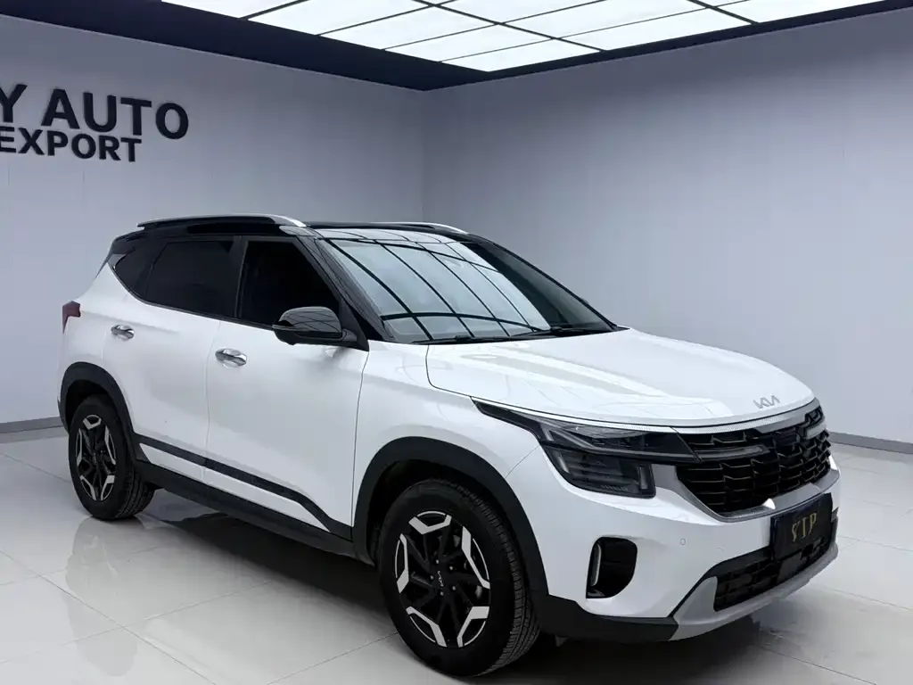 Kia Seltos 2023 из CN, фото 7