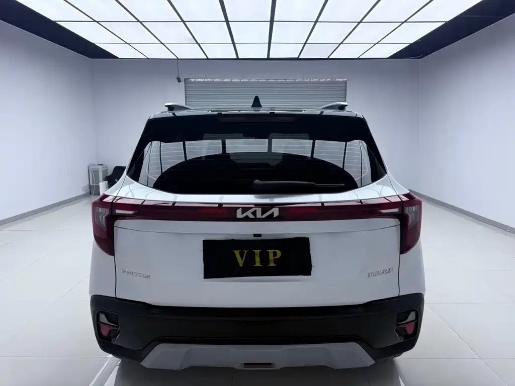 Kia Seltos 2023 из CN, фото 4