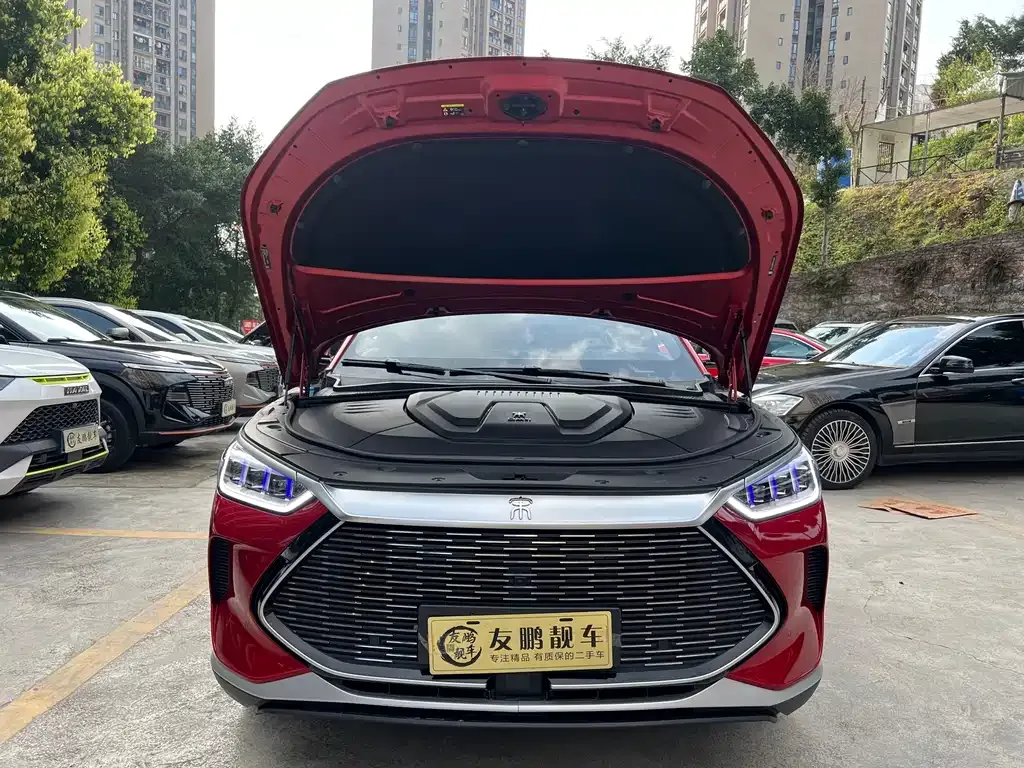 BYD PLUS New Energy — фото 10