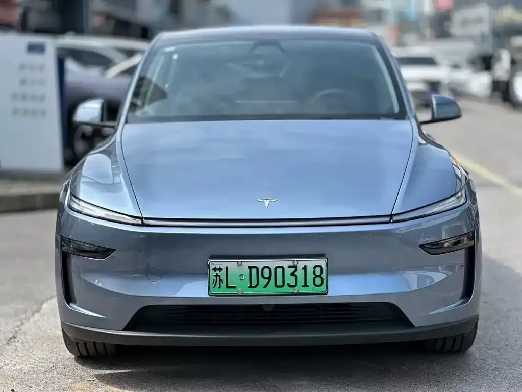 Tesla Model Y — фото 9