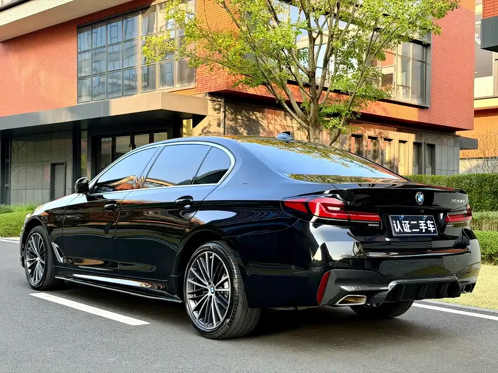 BMW 5 Series 2022 из CN, фото 9