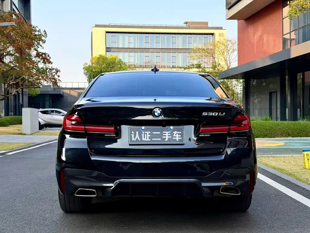 BMW 5 Series 2022 из CN, фото 8