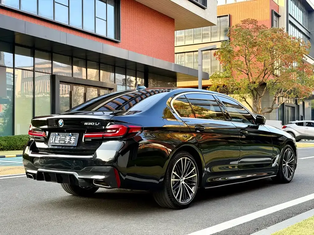 BMW 5 Series 2022 из CN, фото 4