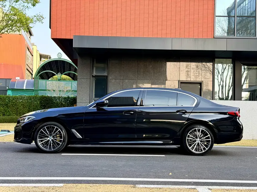 BMW 5 Series 2022 из CN, фото 6