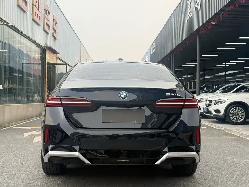 BMW 5 Series 2024 из CN, фото 5