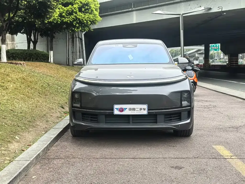 Li Auto Li L8 2023 из CN, фото 9