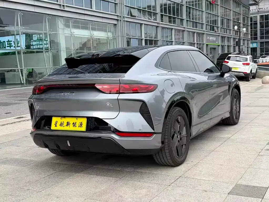 BYD L EV 2024 из CN, фото 5