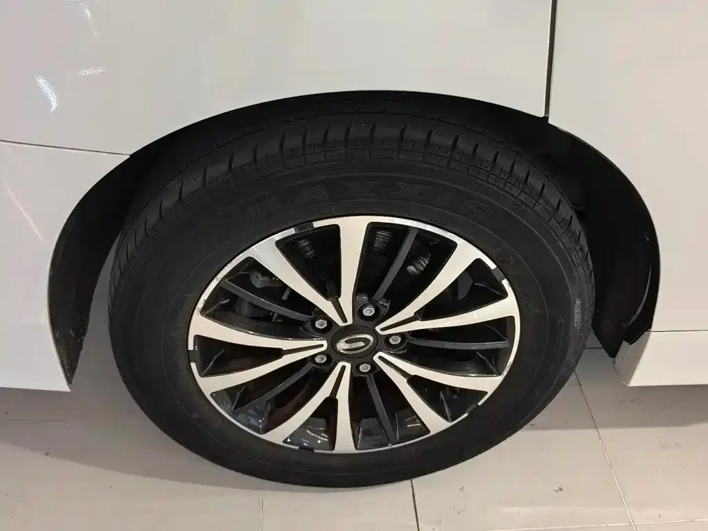 GAC Motor Trumpchi M8 2023 из CN, фото 7