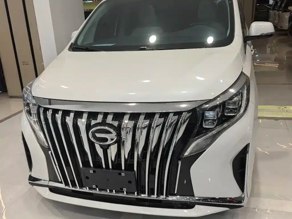 GAC Motor Trumpchi M8 2023 из CN, фото 10