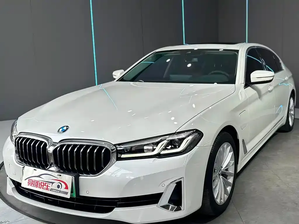 BMW 5 Series New Energy 535Le Luxury