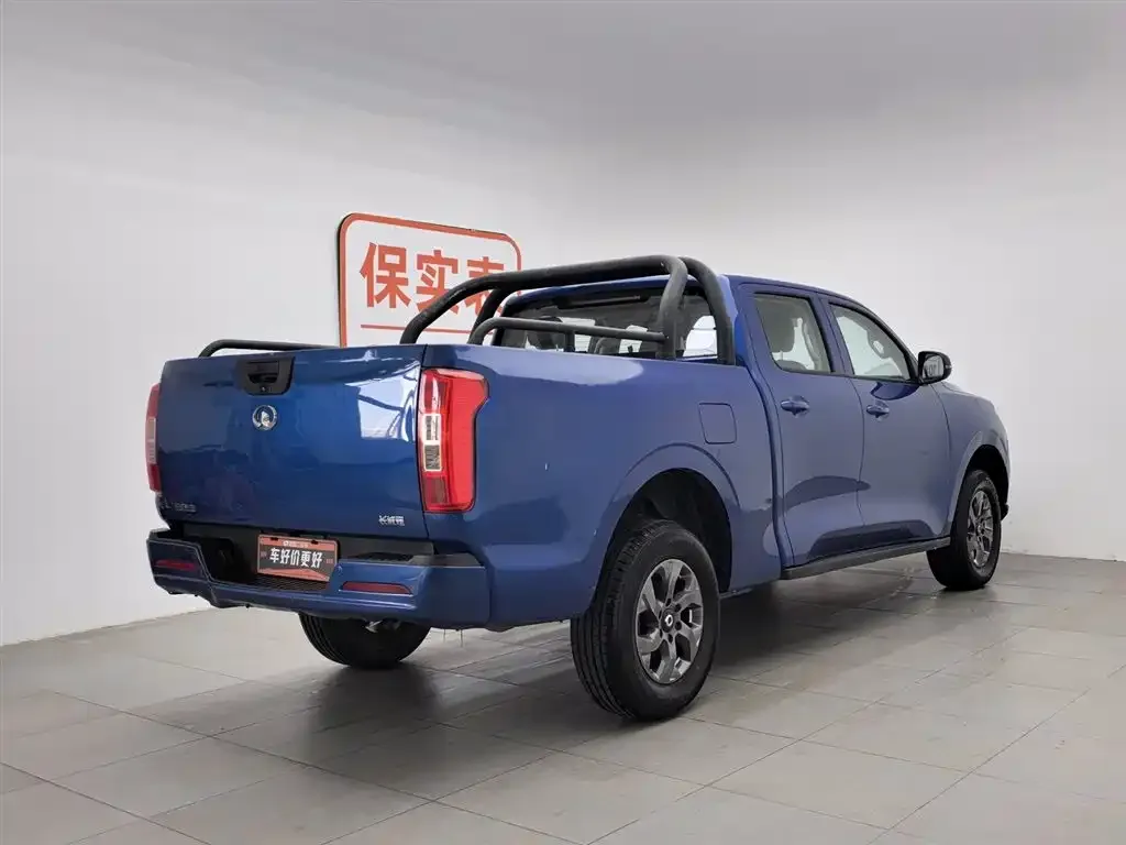 Great Wall Pao 2022 из CN, фото 6