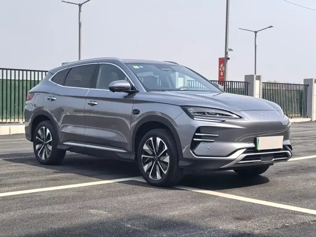 BYD PLUS New Energy — фото 3