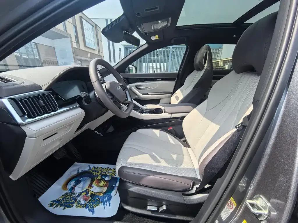 BYD PLUS New Energy — фото 10