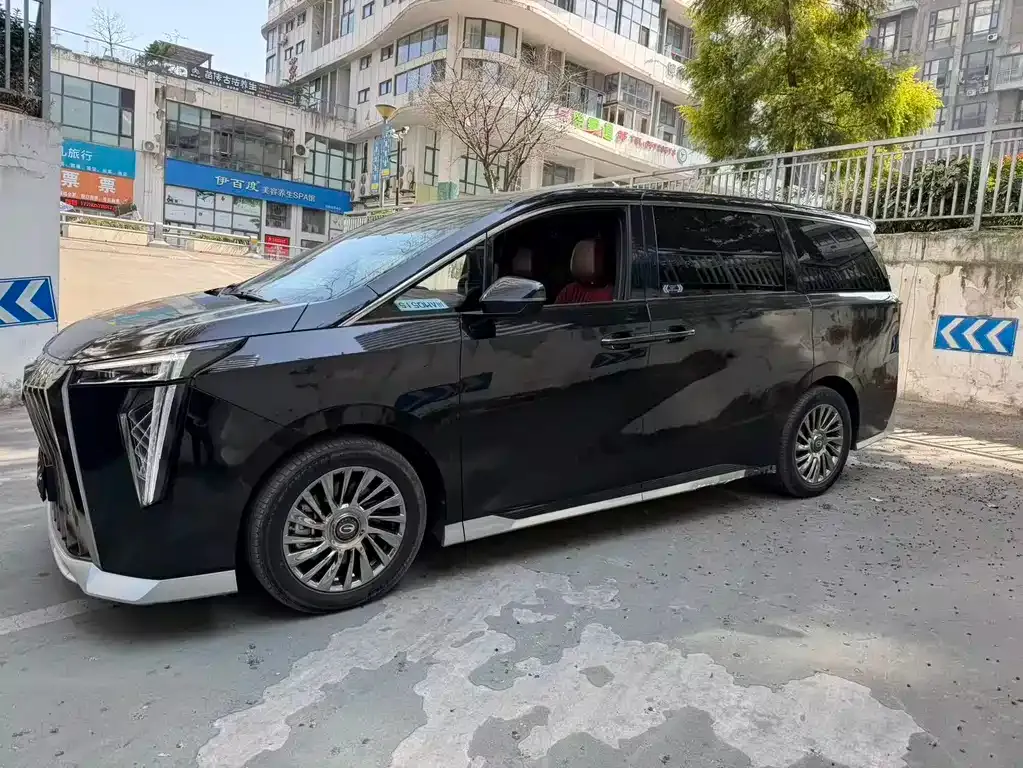 GAC Motor Trumpchi M8 — фото 10