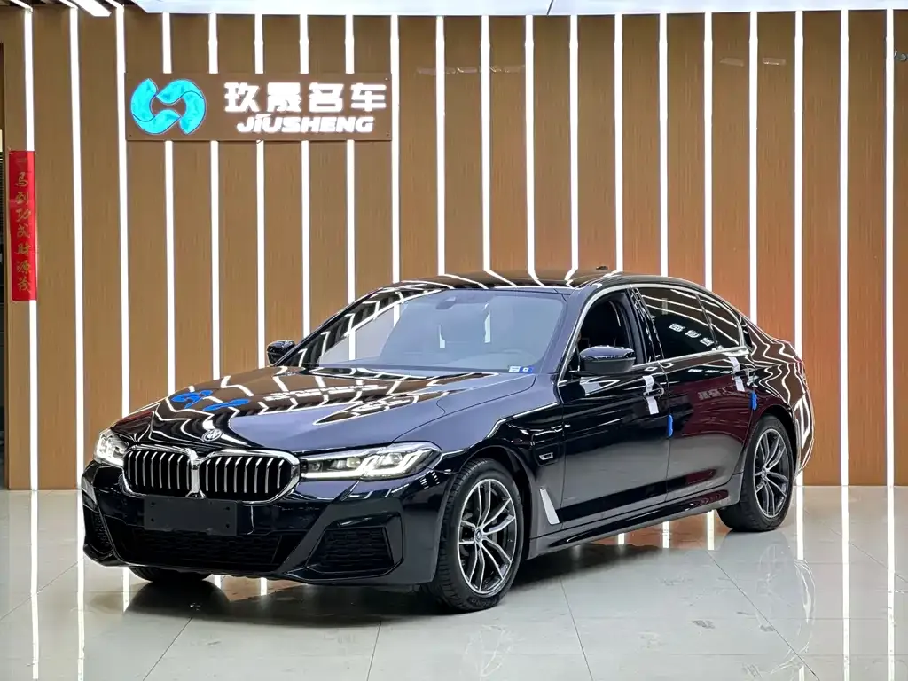 BMW 5 Series New Energy — фото 1