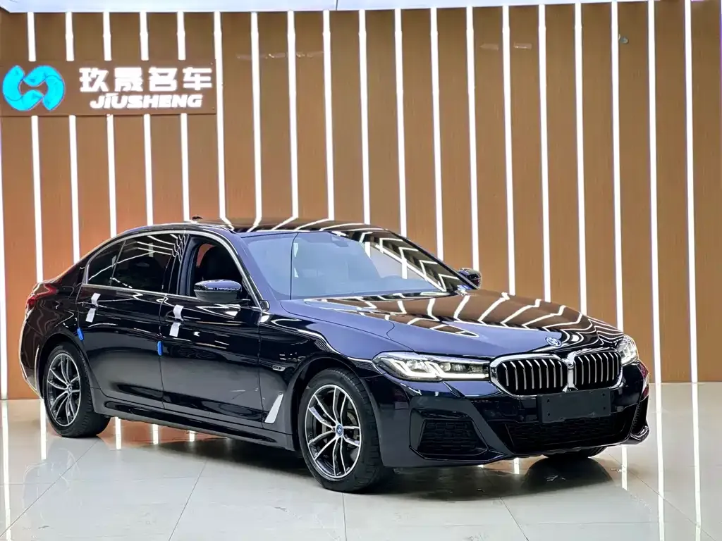 BMW 5 Series New Energy — фото 8