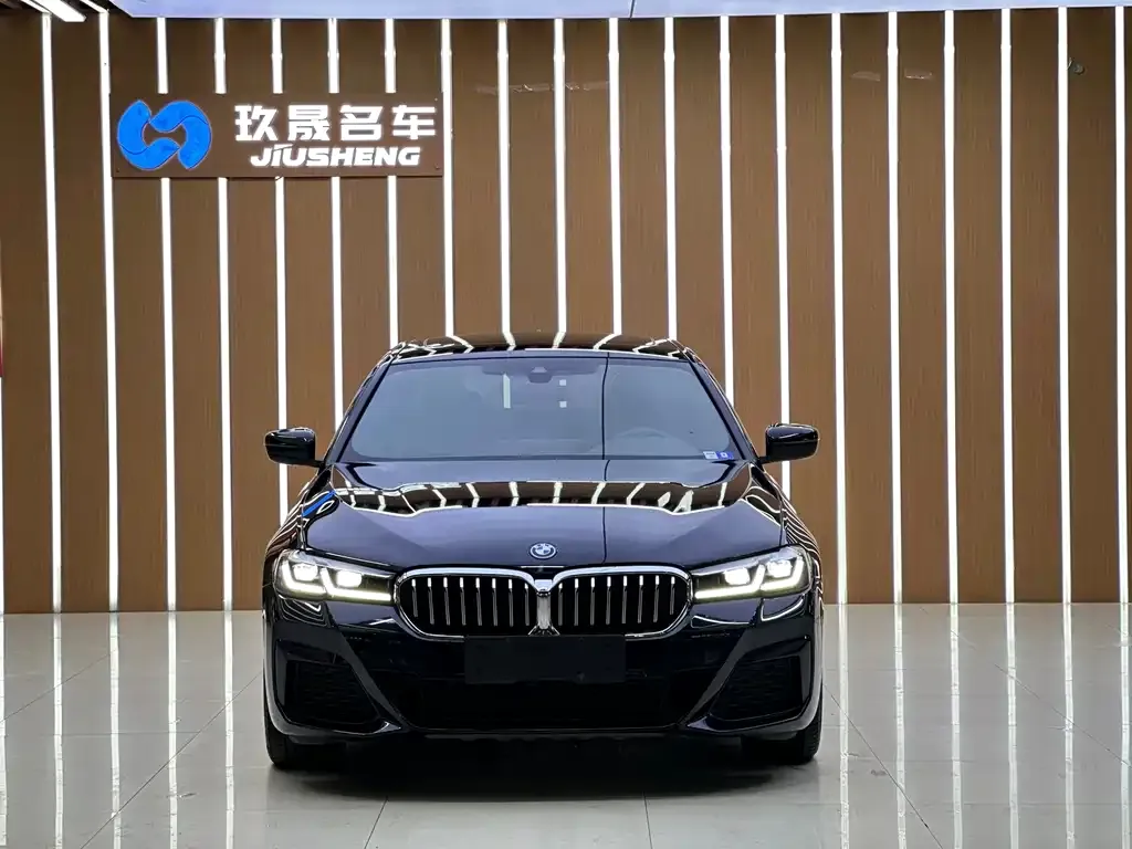 BMW 5 Series New Energy — фото 2