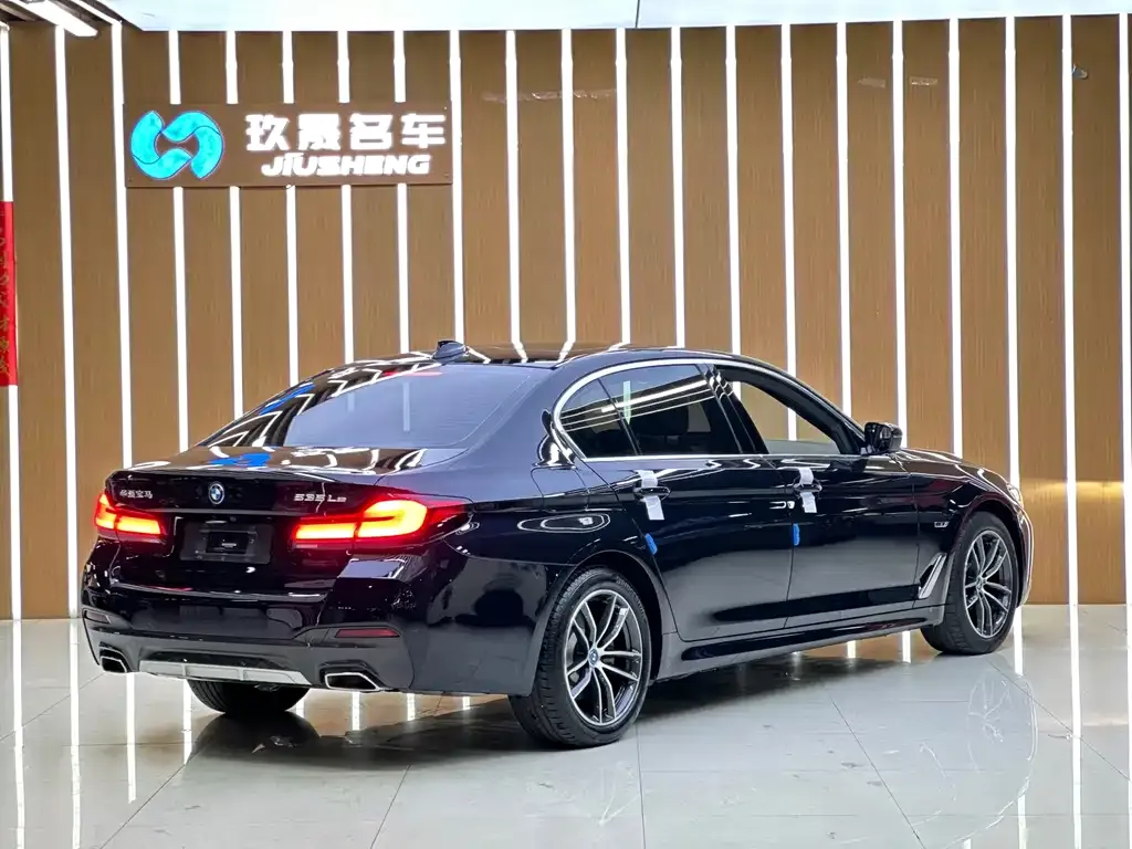BMW 5 Series New Energy — фото 6