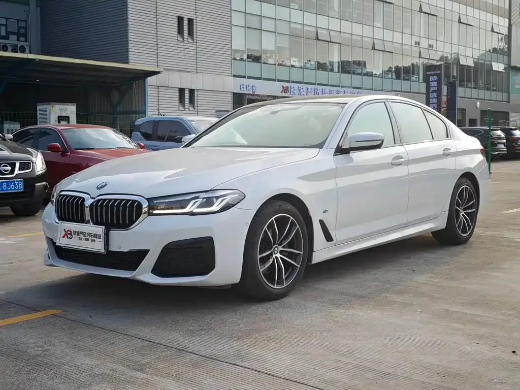 BMW 5 Series (Import)