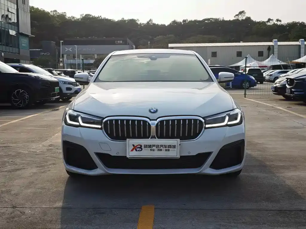 BMW 5 Series (Import) 2021 из CN, фото 6