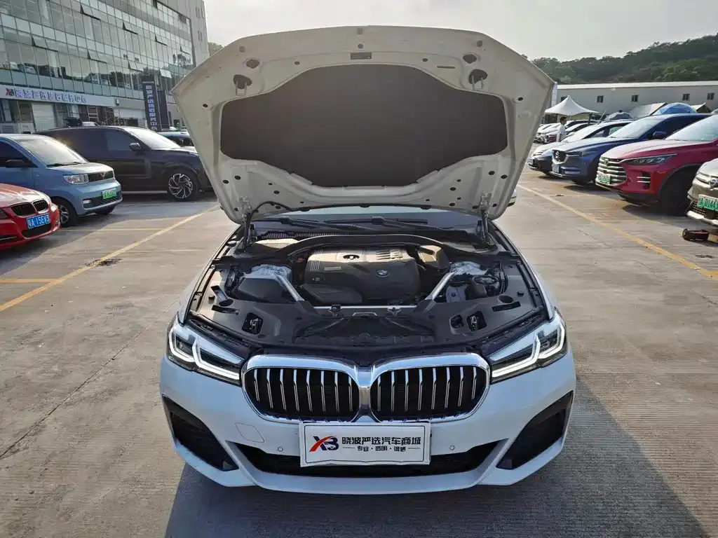 BMW 5 Series (Import) 2021 из CN, фото 9