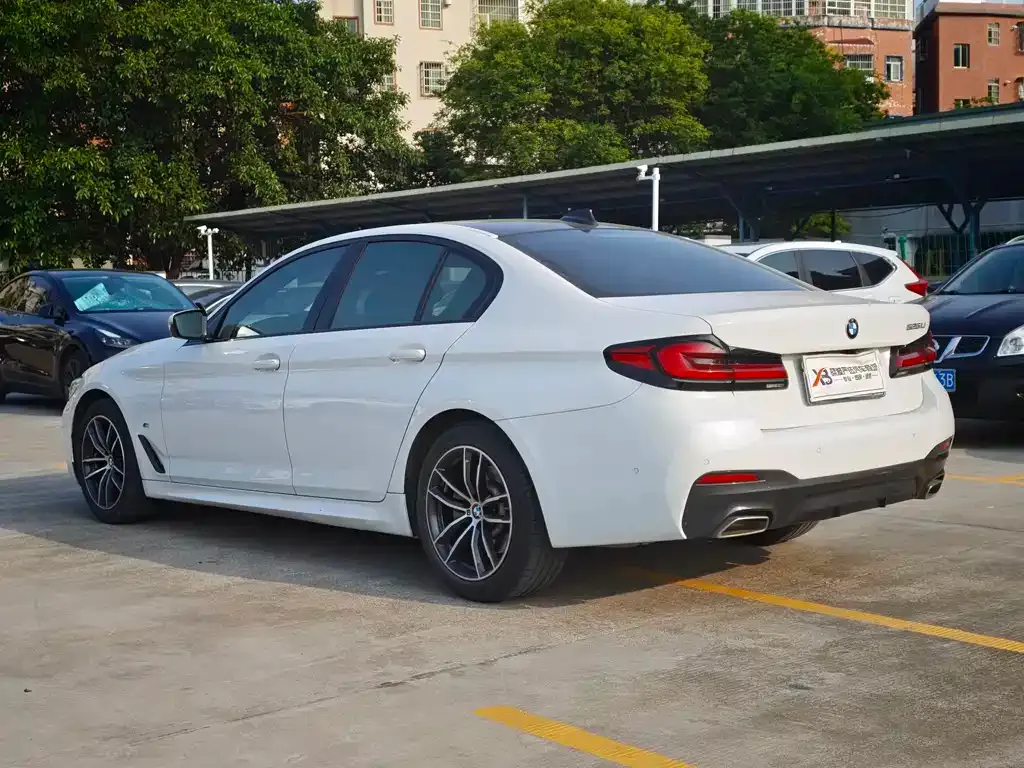 BMW 5 Series (Import) 2021 из CN, фото 4