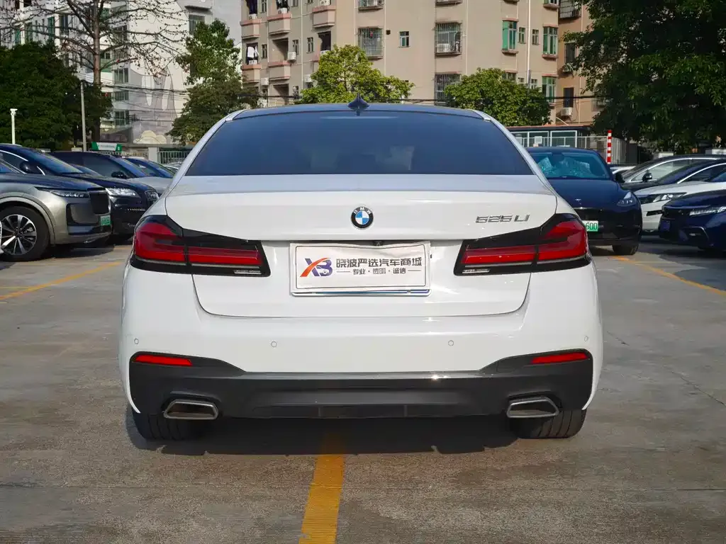 BMW 5 Series (Import) 2021 из CN, фото 5
