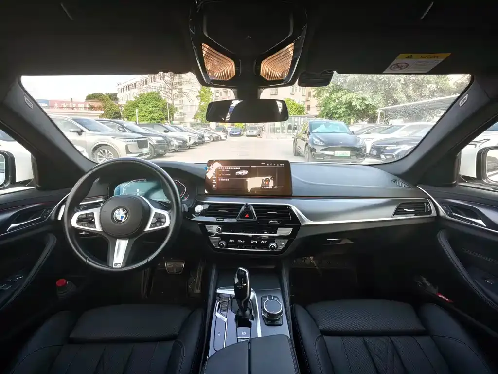 BMW 5 Series (Import) 2021 из CN, фото 8