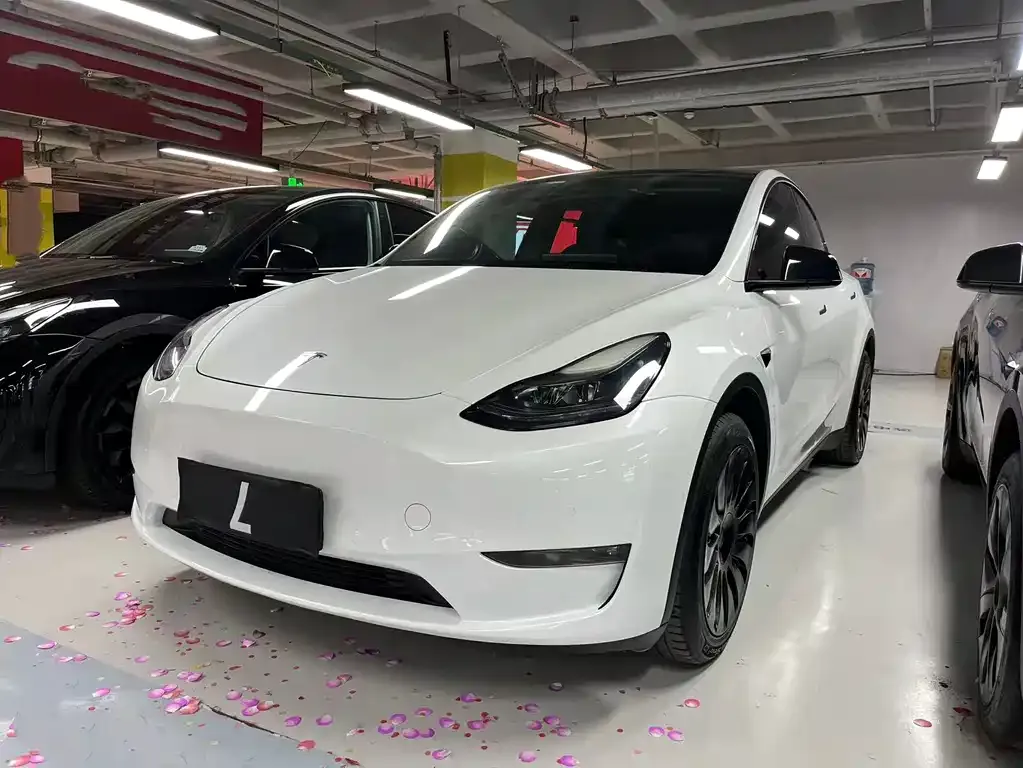 Tesla Model Y — фото 1