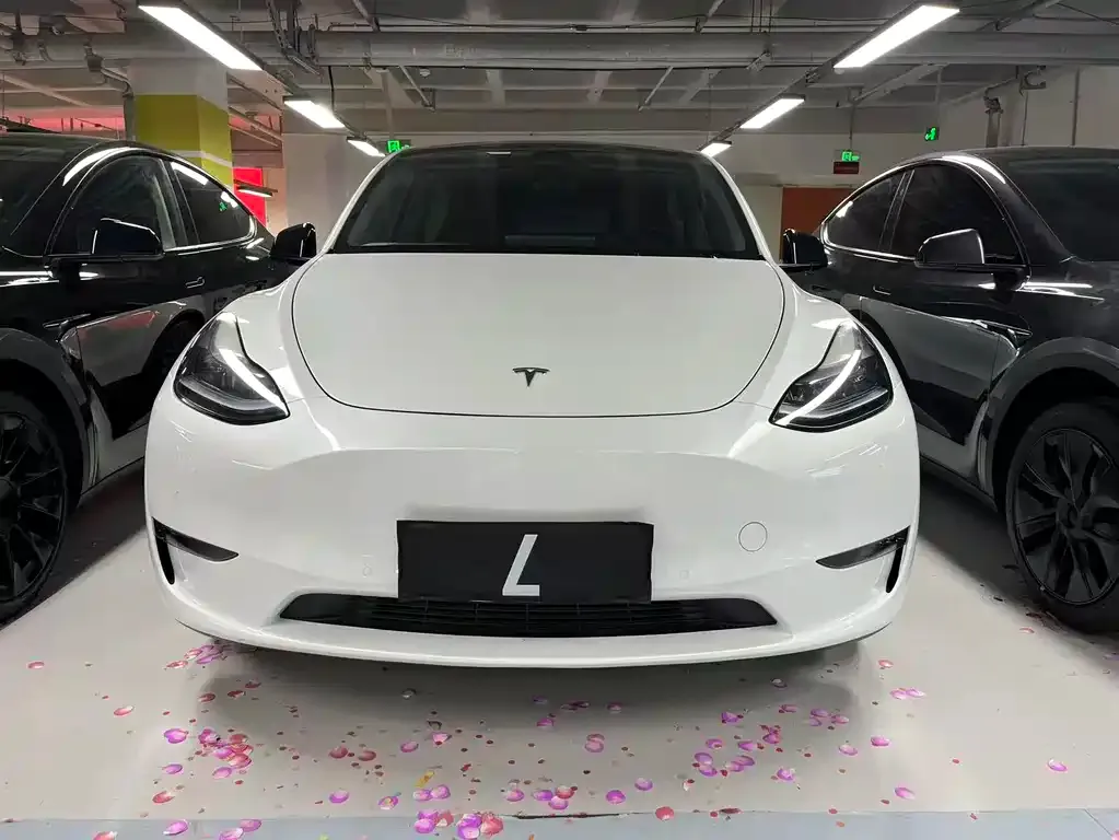 Tesla Model Y — фото 3