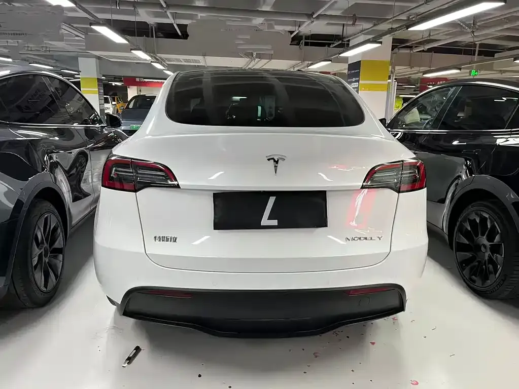 Tesla Model Y — фото 8