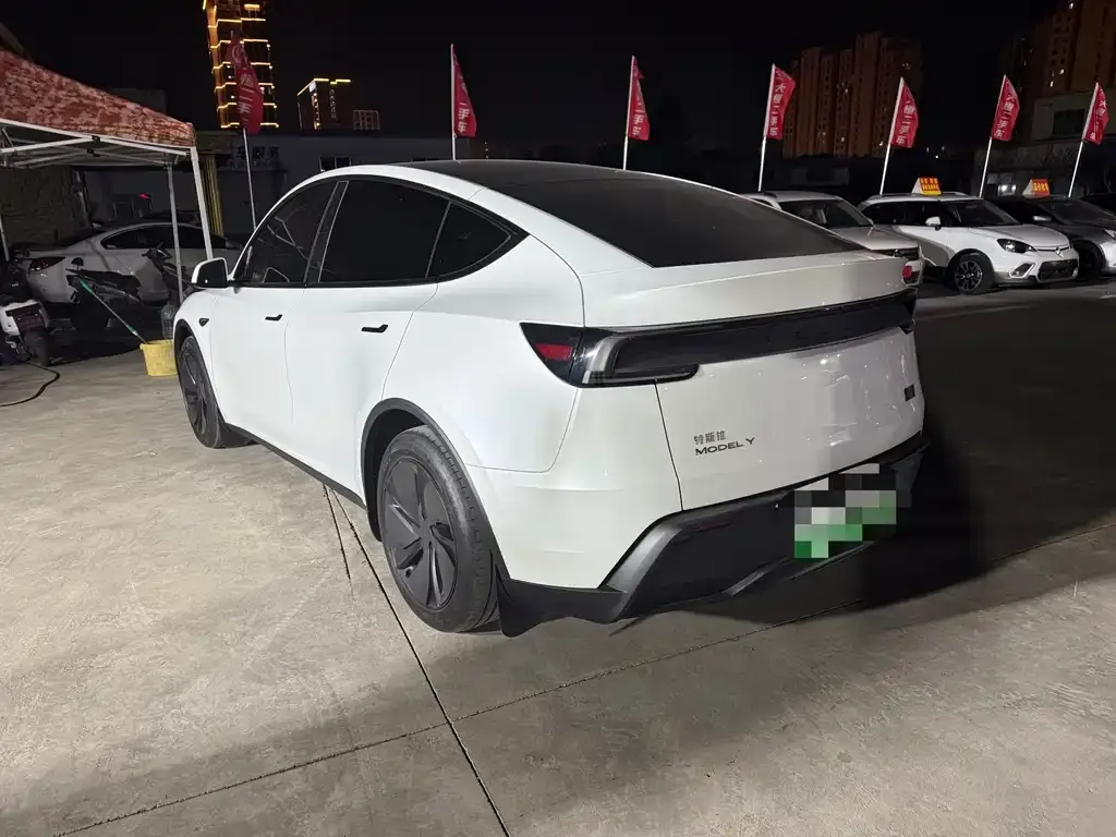 Tesla Model Y 2025 из CN, фото 9