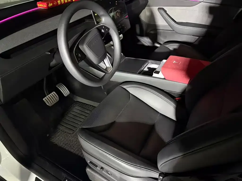 Tesla Model Y 2025 из CN, фото 4