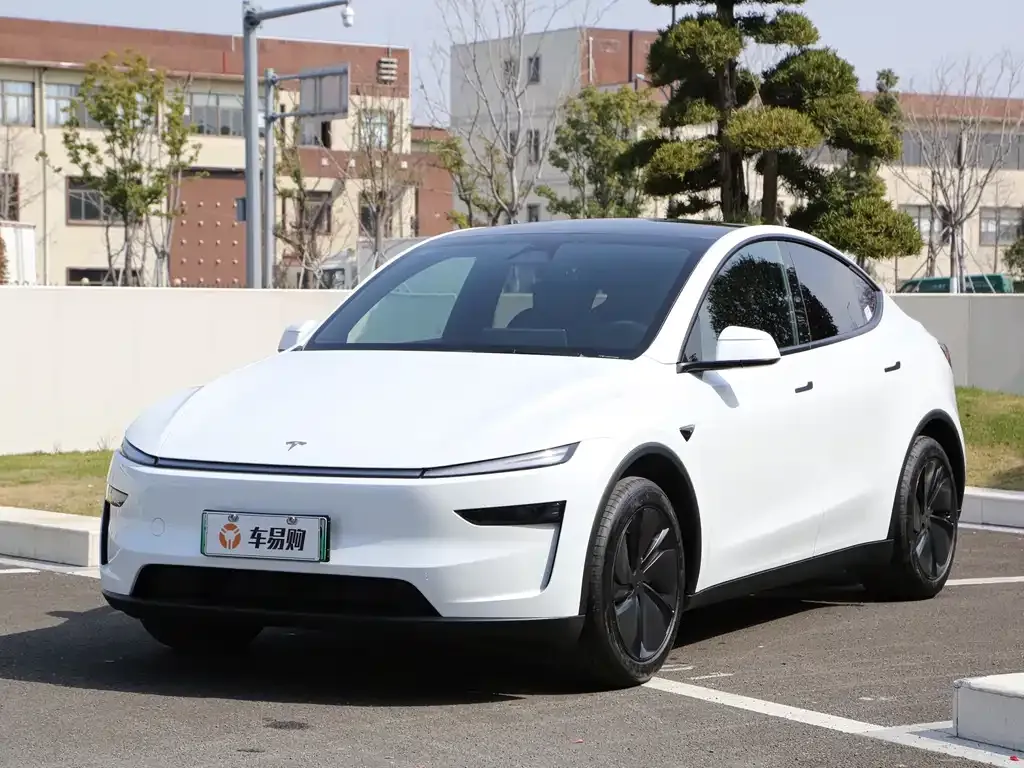 Tesla Model Y 2026 из CN, фото 1