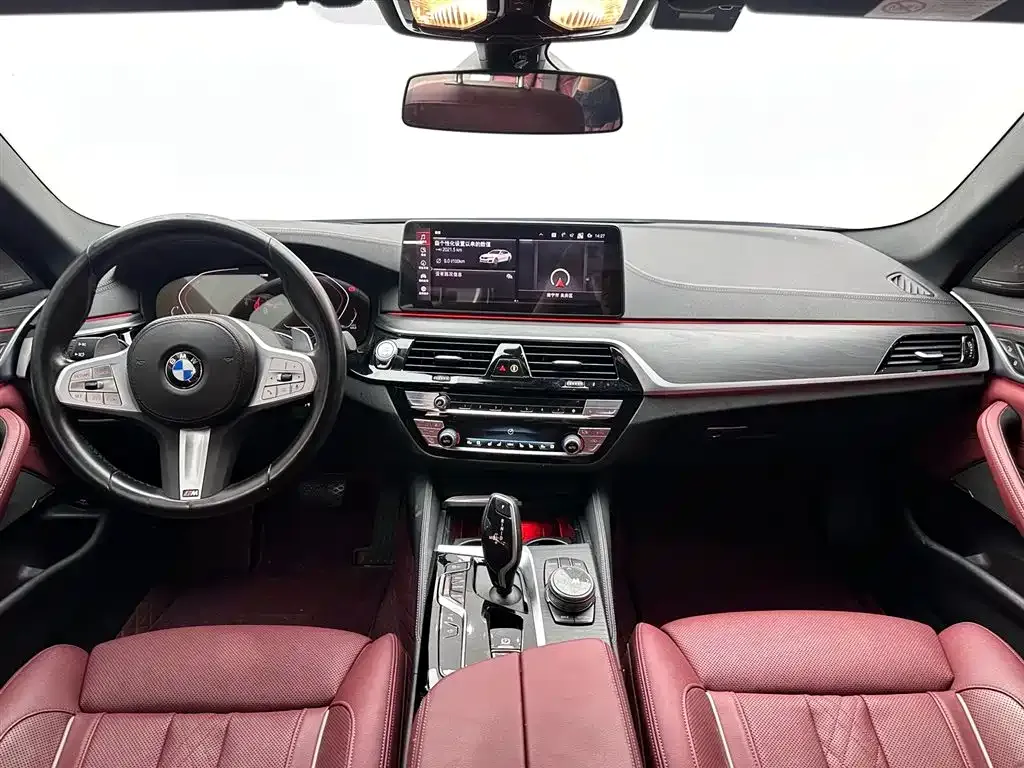 BMW 5 Series 2023 из CN, фото 9